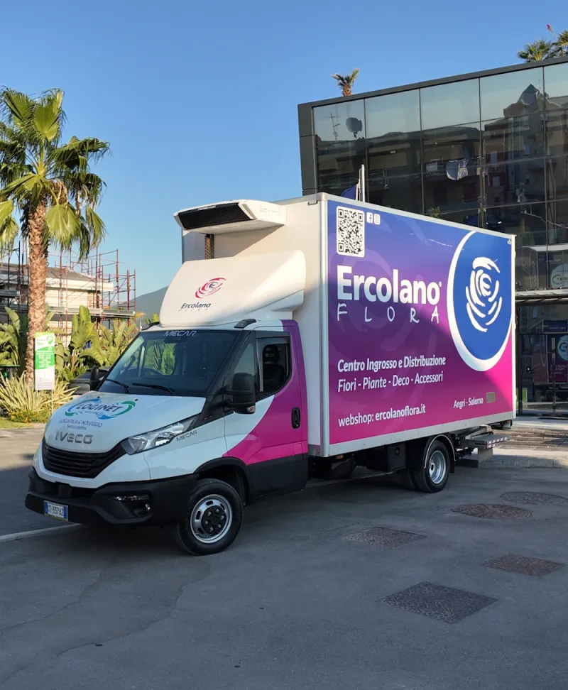 Iveco Daily refrigerated van for flowers and plants